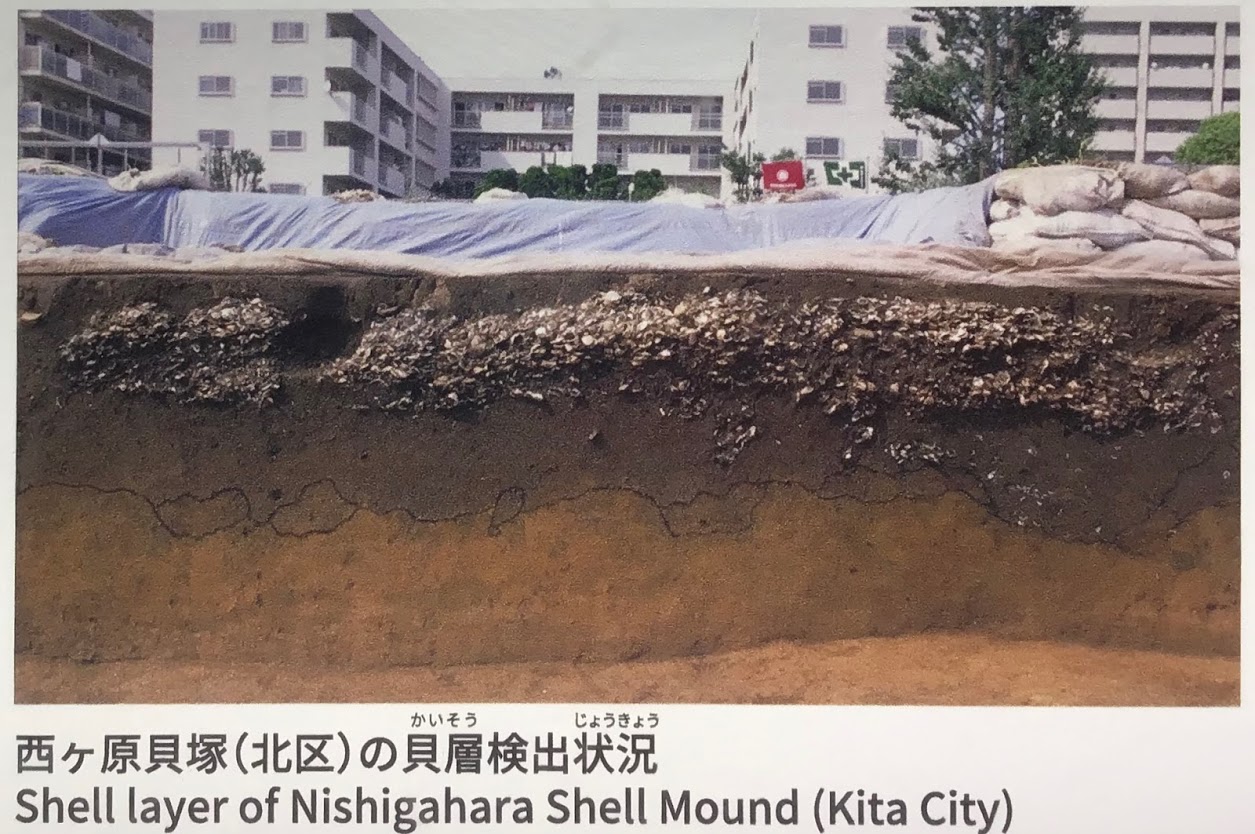 What shell mounds tell us about the Jomon diet and way of life